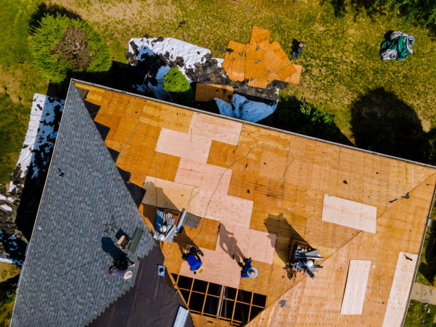 Best Roof Gutter Cleaning  in Winchester, MO